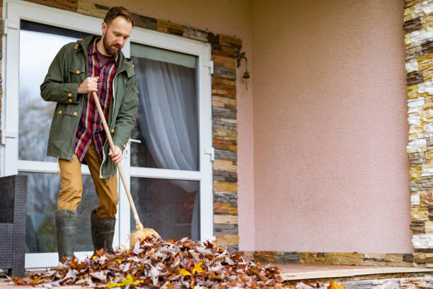 Best Office Junk Removal  in Auburn Lake Trails, CA
